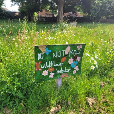 Areas encouraging biodiversity at WIS