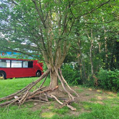 Part of the Forest School area