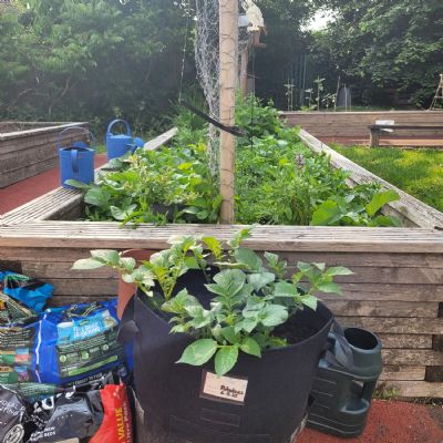 Eco-garden raised beds