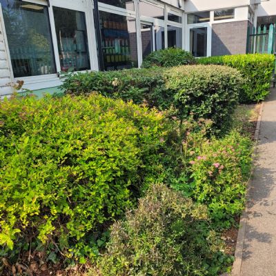 Entrance to Reception playground